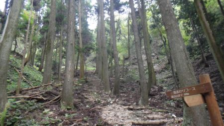 DSC01087_450.jpg