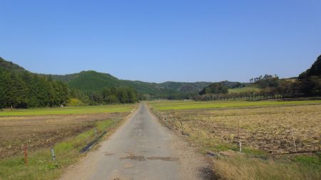 DSC01253_450.jpg