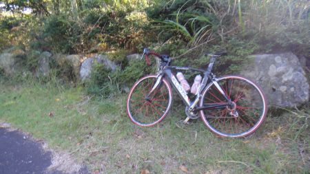 DSC01254_450_20121022075554.jpg