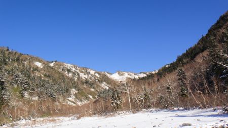 DSC01359_450.jpg