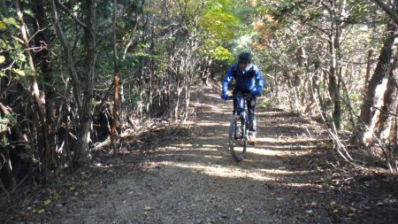 DSC01381_450_20121110151629.jpg