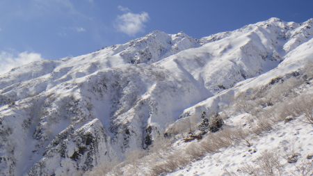 DSC01521_450.jpg