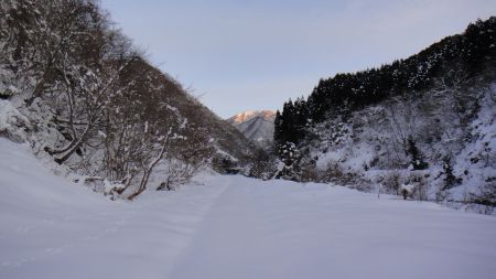 DSC01811_450.jpg