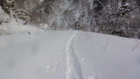 DSC01842_450_20130105161044.jpg