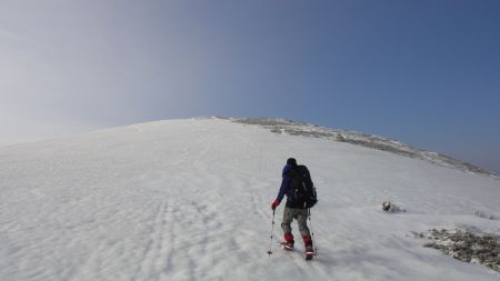 DSC02105_450.jpg