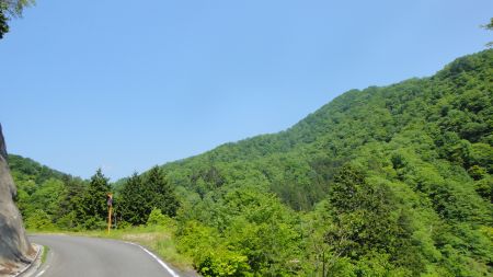 DSC02376_450.jpg