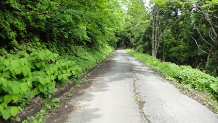 DSC02408_450.jpg
