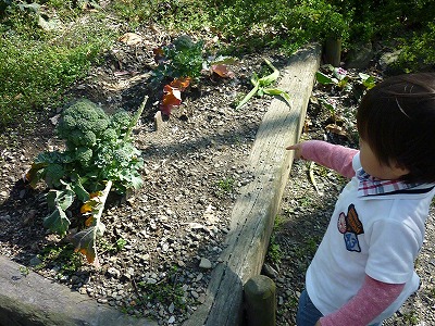 P1540257.jpg