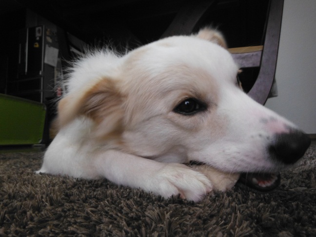 DSCF2226.jpg