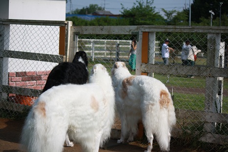 2012.06.03 (15)