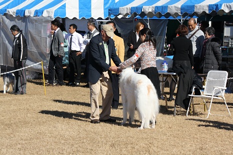 2012.11.25 (117)