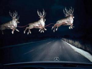 Be+on+the+lookour+for+Reindeer+tonight!+Brittany_convert_20121225131625.jpg