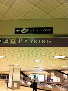 Bush+Airport_convert_20120518001450.jpg