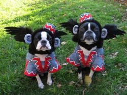 flyingmonkies1_convert_20121028221625.jpg