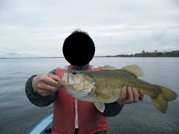 バス釣り