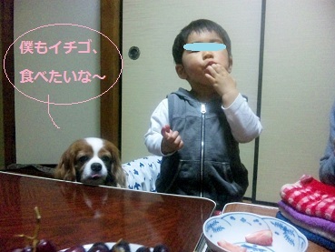 GWおーちゃん1