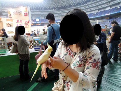 ペット王国3