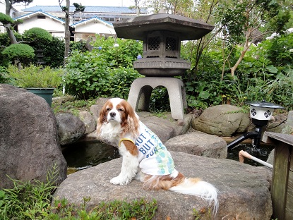 実家で10