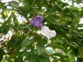 IMGP0049XX.jpg