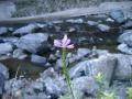 IMGP0396.jpg