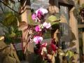 IMGP0550.jpg