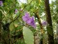 IMGP0551XX.jpg