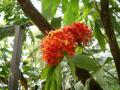 IMGP0584XX.jpg