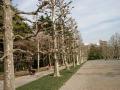 IMGP0932XX.jpg