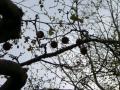 IMGP0970XX.jpg
