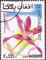 stafg0704.jpg