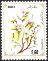 stalr0502.jpg