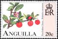 stanu0202.jpg