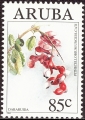 staru0203.jpg