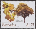 stbar0406.jpg