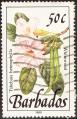 stbar9901.jpg