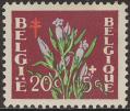 stbel0701.jpg