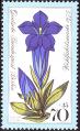 stber0404.jpg