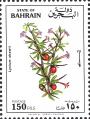 stbhr0101.jpg