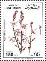 stbhr0105.jpg