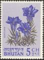 stbhu0102.jpg