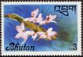stbhu0303.jpg