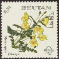stbhu0502.jpg