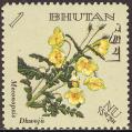 stbhu0506.jpg