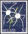 stblz0104.jpg