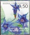 stbos0201.jpg