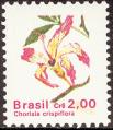 stbra0102.jpg