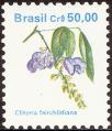 stbra0106.jpg