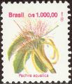 stbra0111.jpg