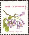 stbra0114.jpg