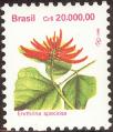 stbra0115.jpg